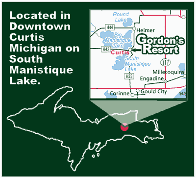 Curtis Michigan Map